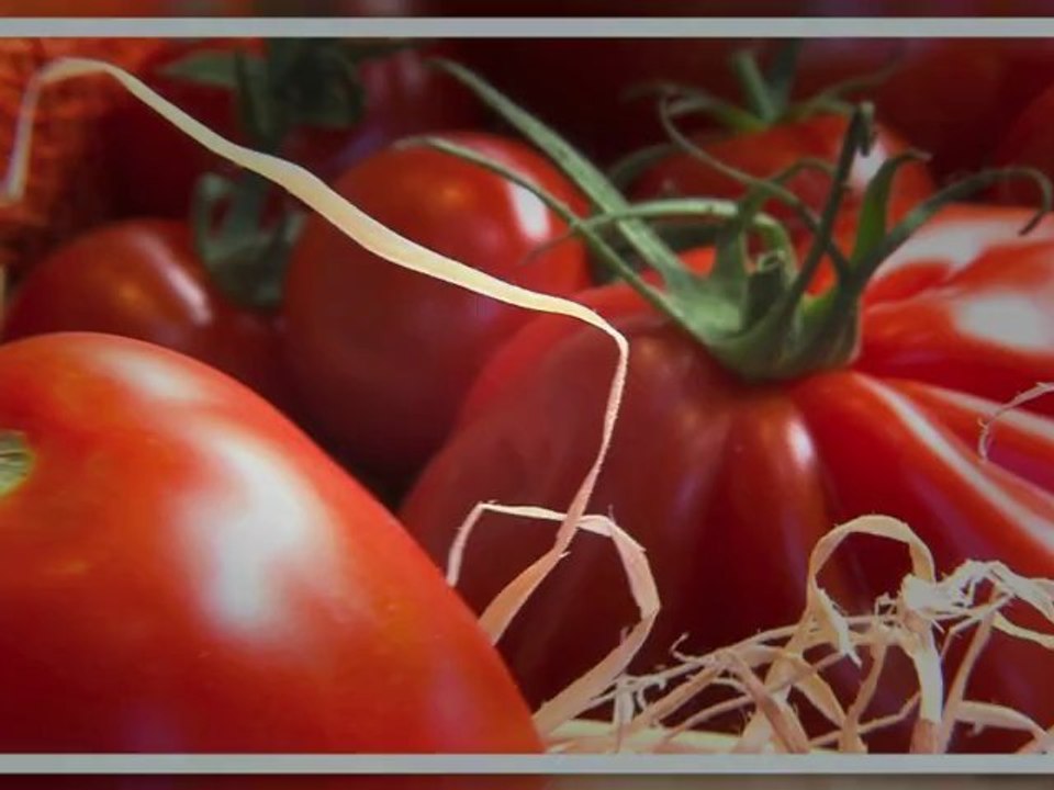 Le salon de l'agriculture Aquitaine et Le marché des producteurs