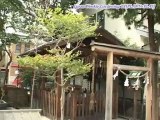 Episode2 Investigation series By Japan Weekly Gardening TV