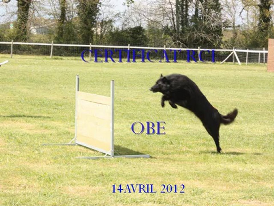 obé CERTIFICAT  RCI 14 04 2012