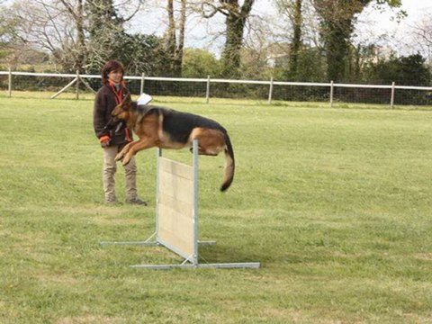 Diapo ELGA CERTIFICAT RCI OBE