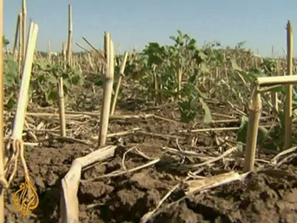 Sifting through theories of climate change