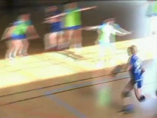 HAND D1 HONNEUR 2011/2012