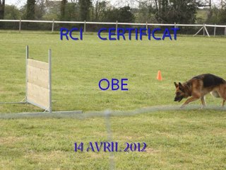 Diaporama TOUN CERTIFICAT RCI OBE 14 4 12