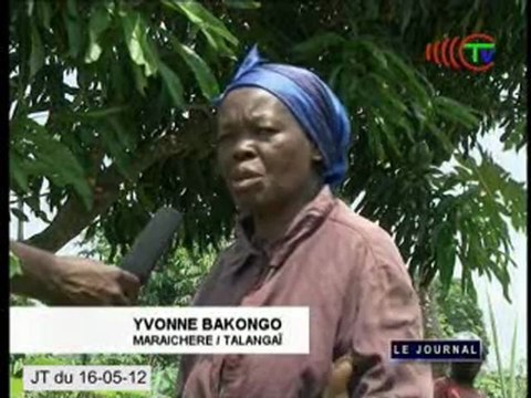 Une enquête sur les effets du changement climatique au Congo