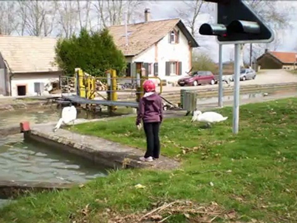 louloute.