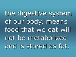 Fast Facts To Fat Loss