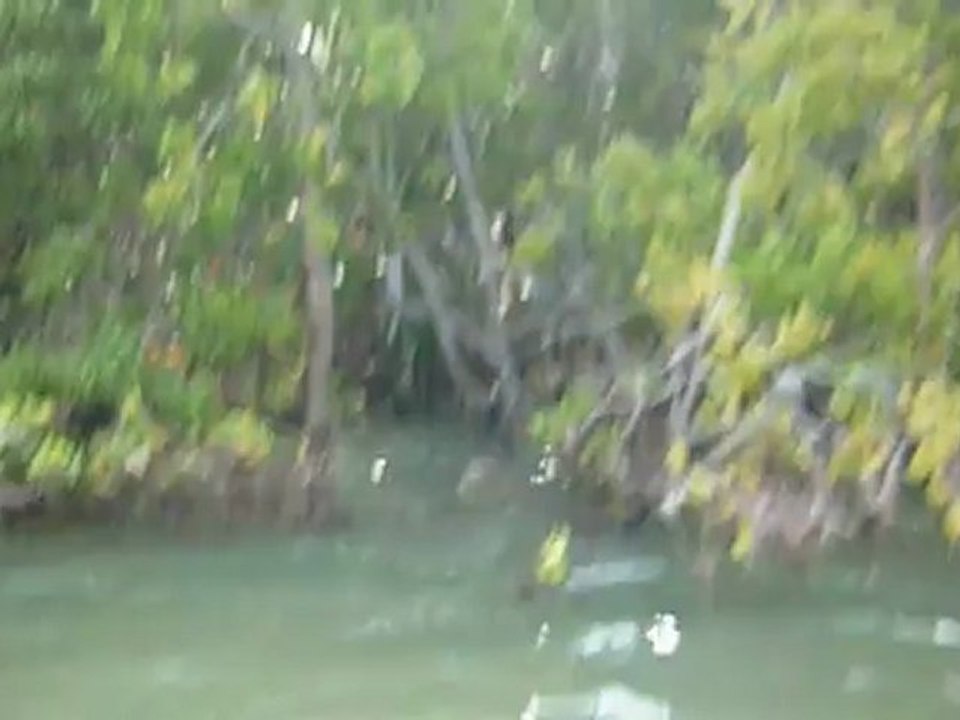 Jour 2 - Sud Everglades en canoë (1)