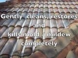 Professional Roof Cleaning and Pressure Washing Orlando Florida