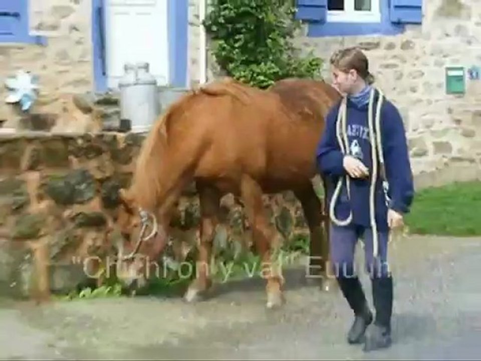 "J'suis pilote de rallyyyyye !!"