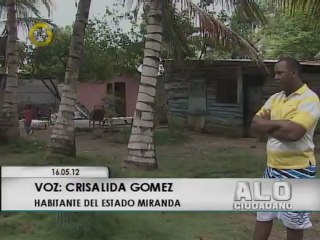 Sardinas muertas invaden costas de Carenero