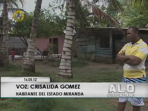 Sardinas muertas invaden costas de Carenero