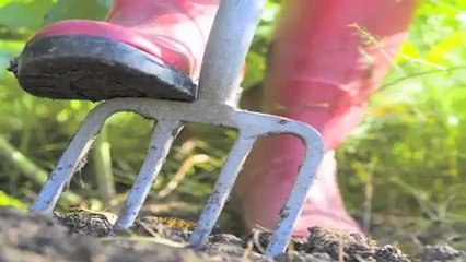 Landscape Gardens Aldinga Beach Coombs Paving & ...