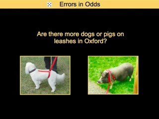 Vitamins for Brain Function-Dan Gilbert-Part1