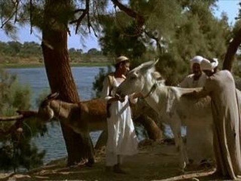 Latcho Drom L'Egypte