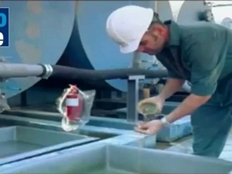 На Голанах есть нефть?