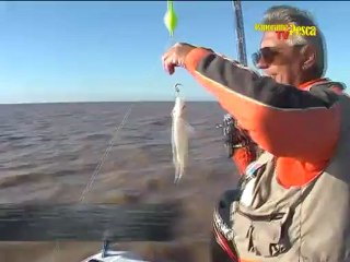 Panorama de Pesca TV 74