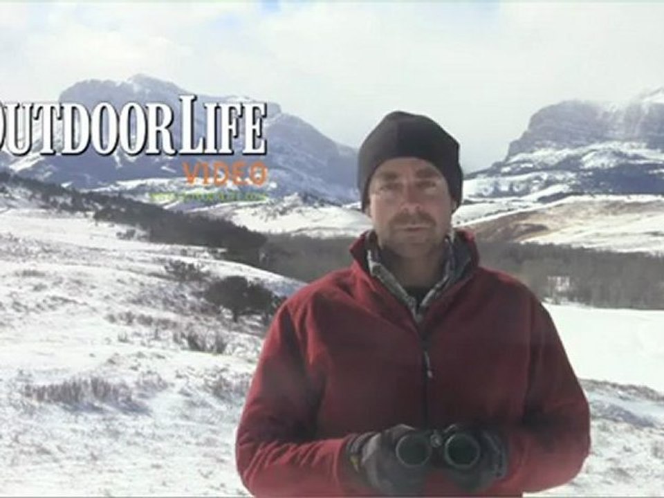 Optics Review: Alpen Apex XP 8X42 Full-Size Binocular