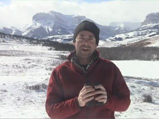 Optics Review: Kowa SV 8X32 Mid-Size Binocular