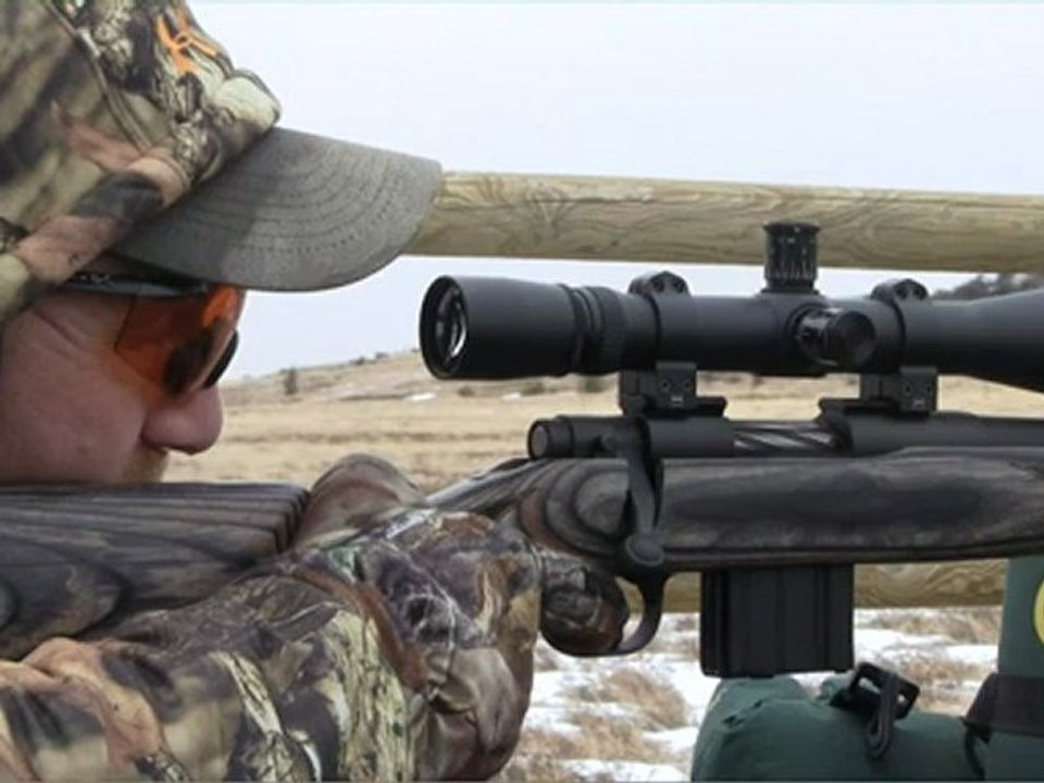 Mossberg MVP Predator: A Bolt-Action Rifle Fed by AR-Style Magazines