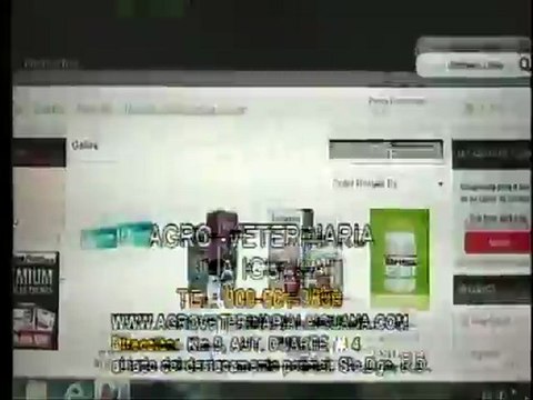 RESUMEN-GALLISTICO-TECNODEPORTES-HOMENAJE A LA TRABA LA 24/7 CON PAPA EN EL CLUB GALLISTICO LA CALETA POR MANUEL PERELLÓ.-