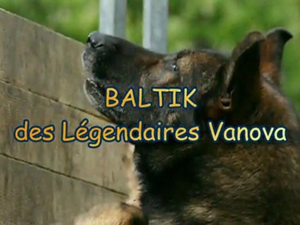 Baltik à Bourges