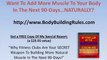 Workout Routines  - muscle building workouts 05-04