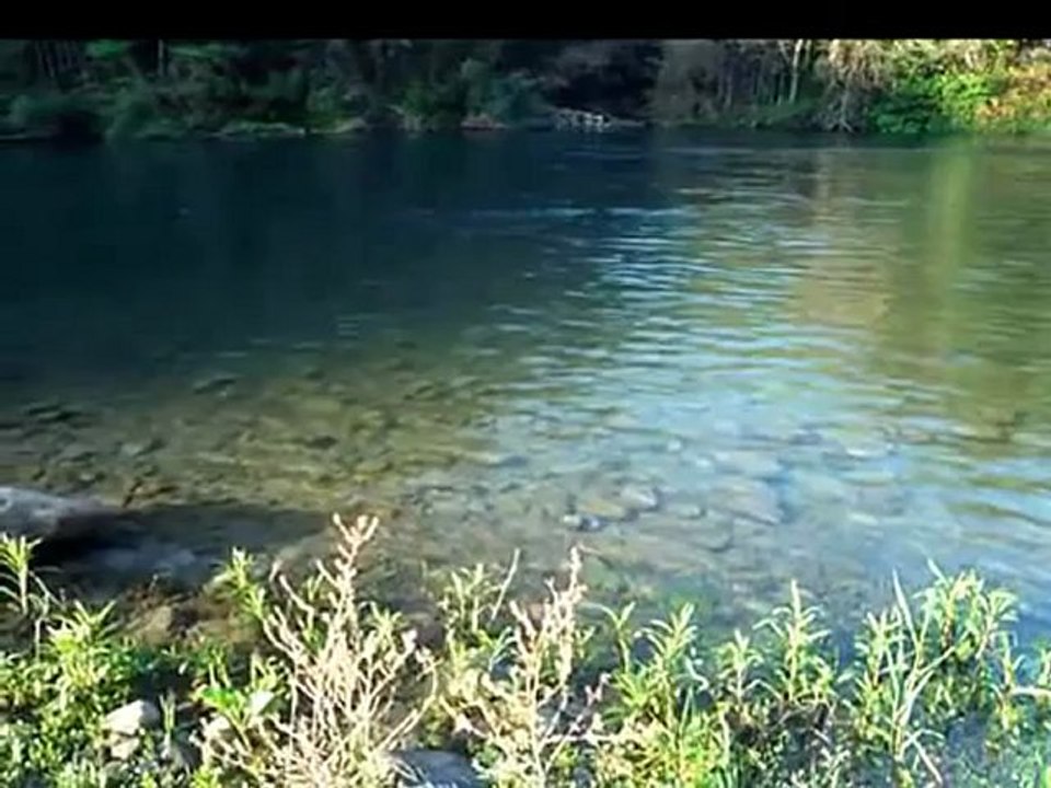 グレープ・・・無縁坂
