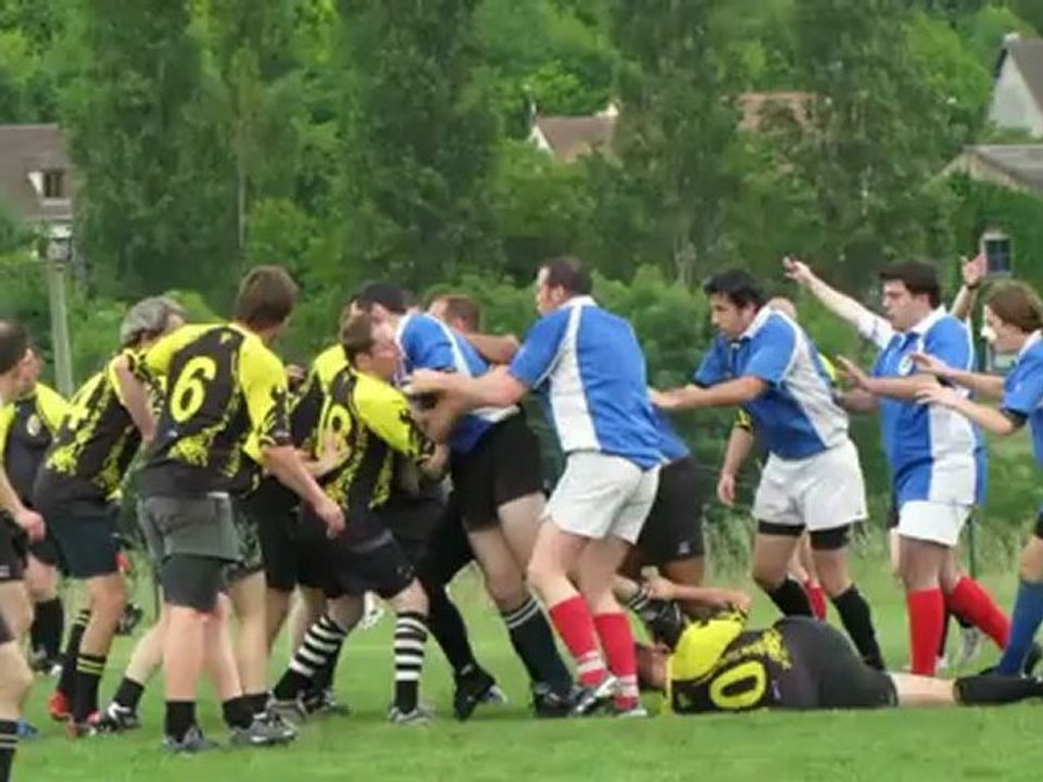 lions senior