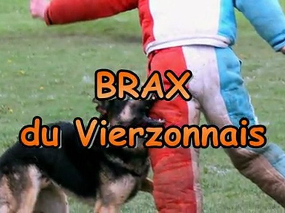 Brax à Bourges