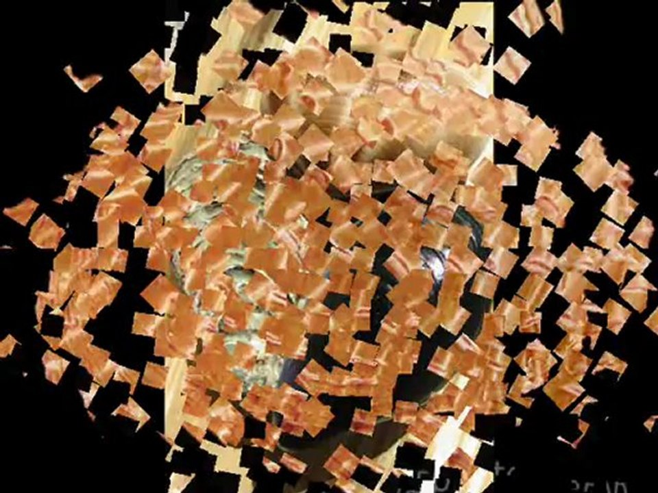 Els Mol·luscs - Joel D. i Lara