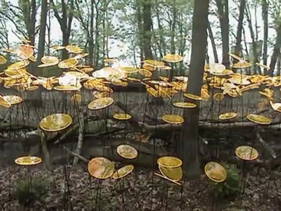 New01.mpg   N9 HOLLANDE    VENLO FLORIADE  MAI 2012