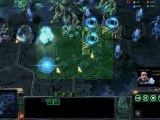 NulMarrant SC2 - La face cachée du Terran