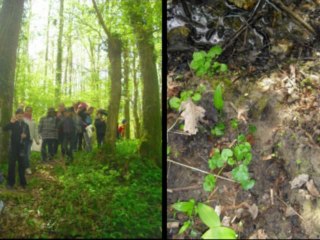 Château deTaillé avril 2012