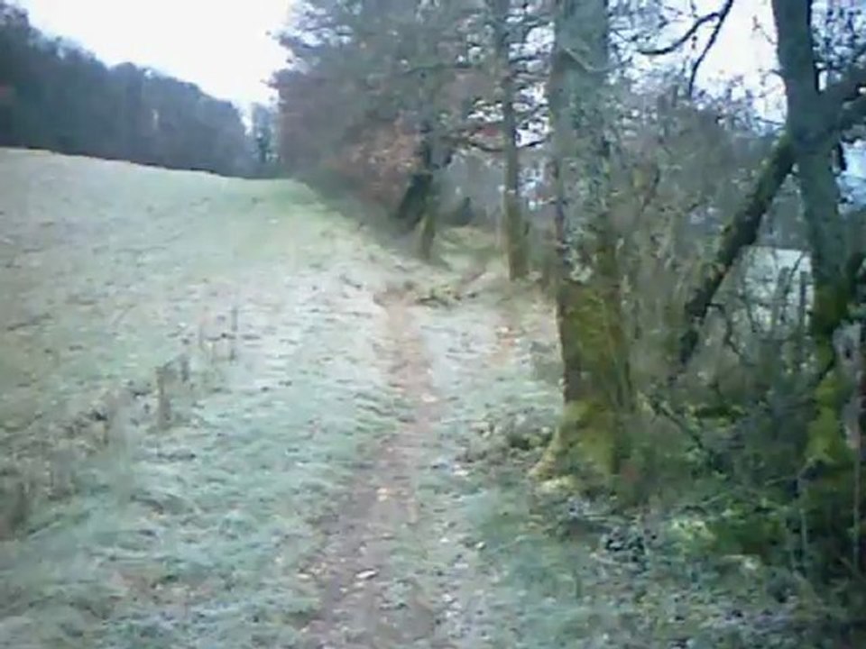 chasse lièvres ariégeois isère partie 4