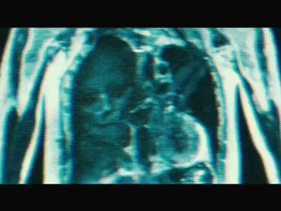The Possession    -    trailer