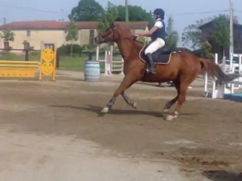 Hippy à Villeton (1ère partie) en CSO Club2