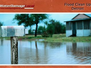 Detroit Flood Clean Up - Property Erosion Remediation