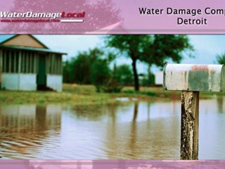 Detroit Water Damage Company *** Fire Remediation, too!