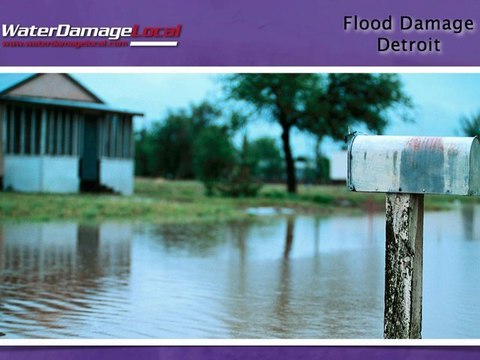 Detroit Flood Damage ~~~ Basement & Carpet Cleaning