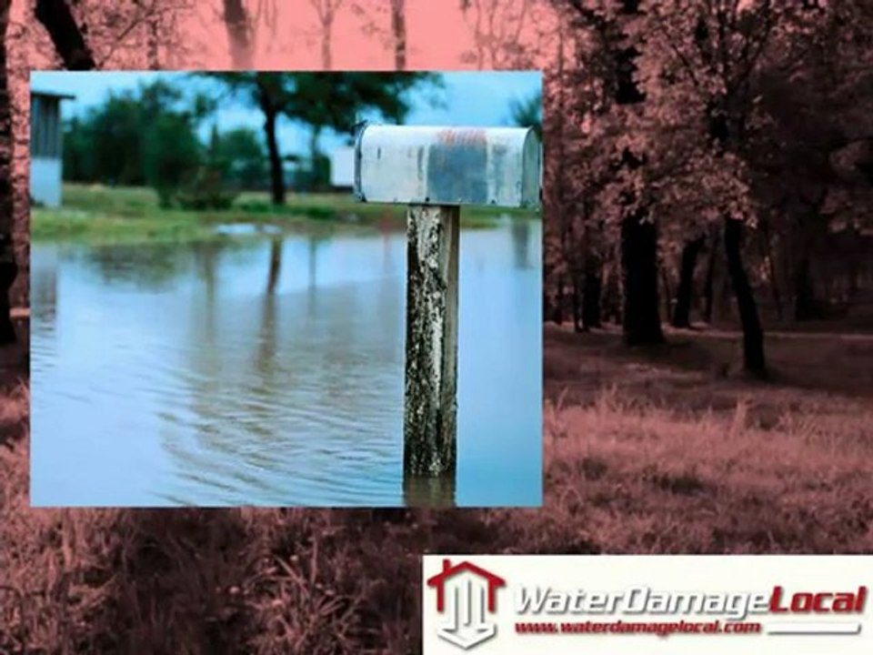 Water Damage Repair in Fayetteville, Georgia