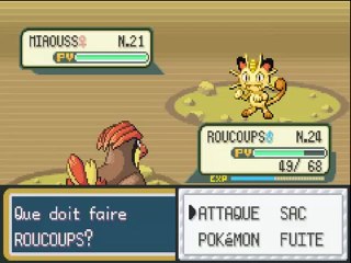 nuzlock challenge vert feuille ( 12 )