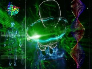 Spirulina-The Amazing Algae