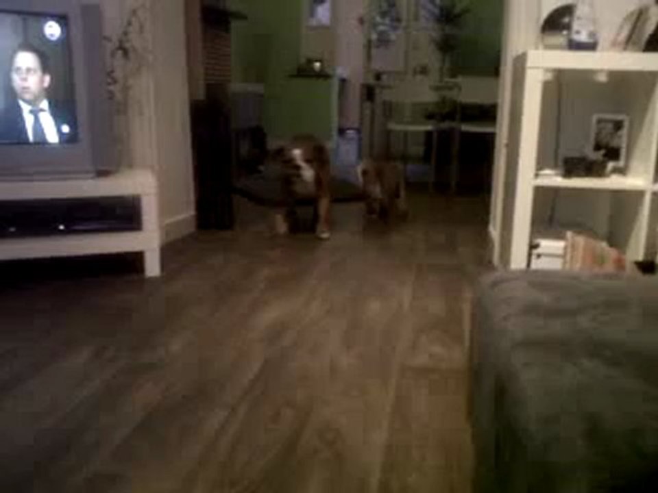 VID 00105-20120517-2026