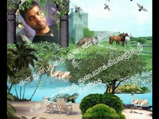 Kethes Photos
