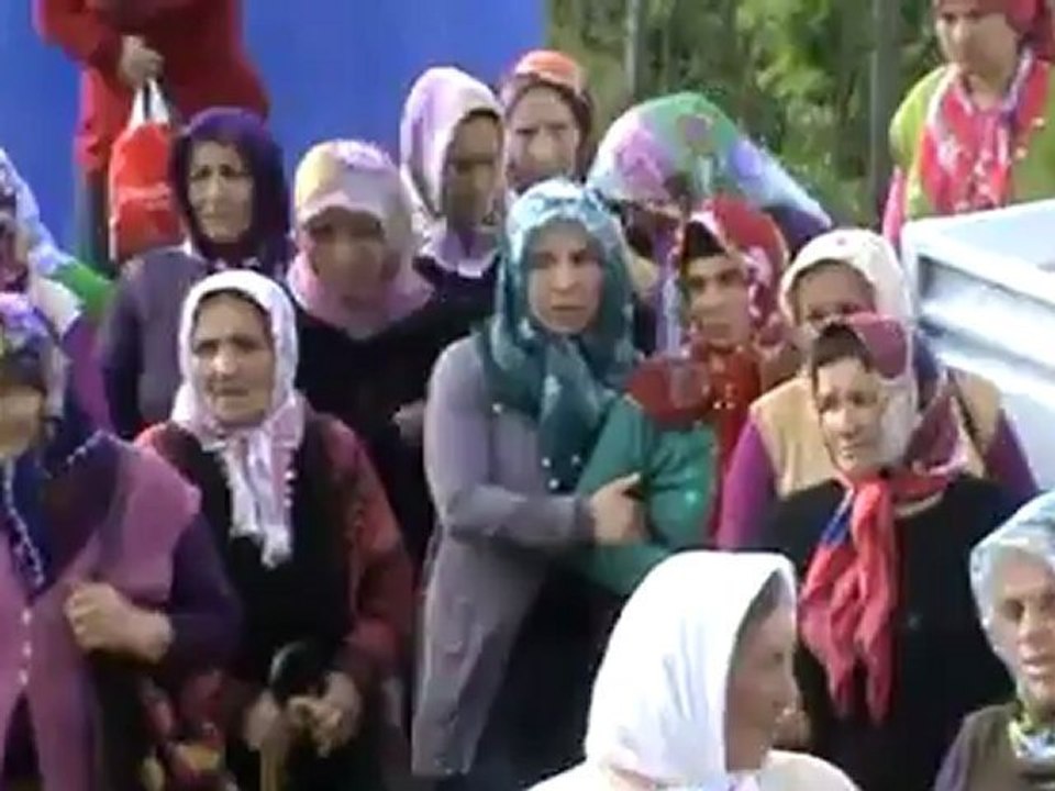 video_1
