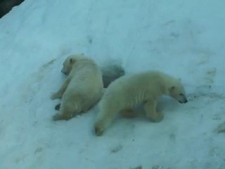 Зима летом))