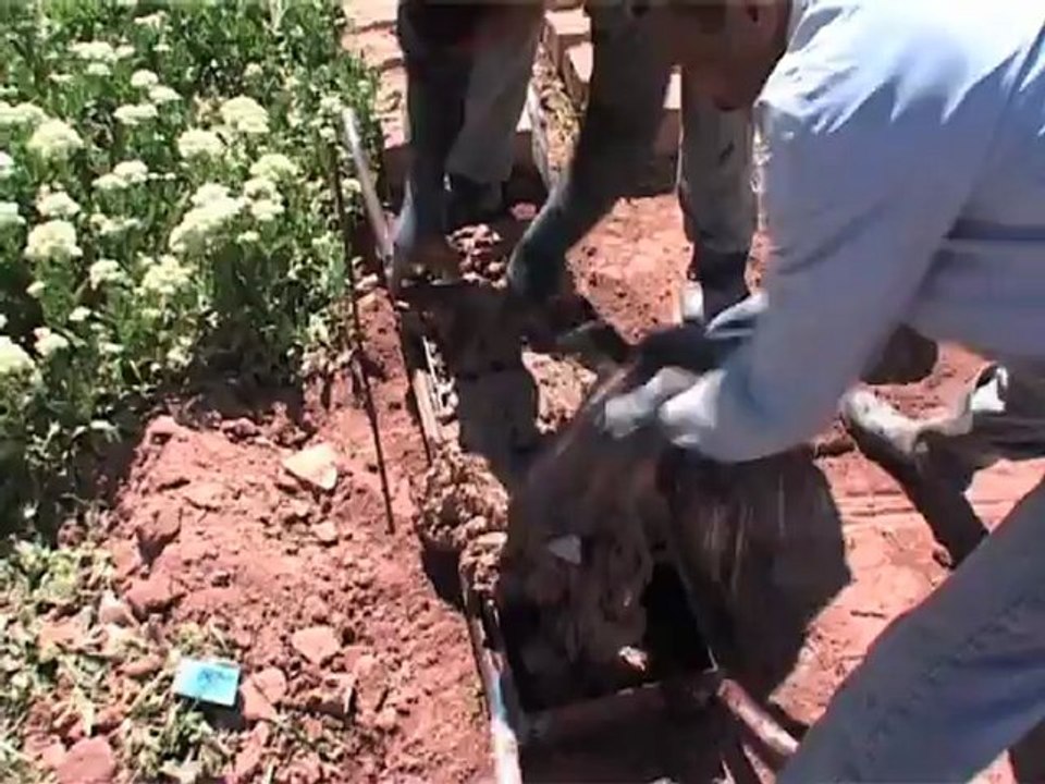 Construction briques de terre crue