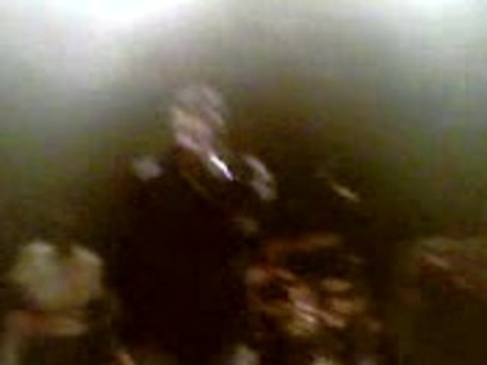 TURBULENCE MORE FAYA