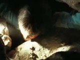Gore - Clip Gore (English)