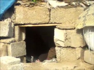 MEHMET EMİNE ÇİMEN TAVUK PİNİ